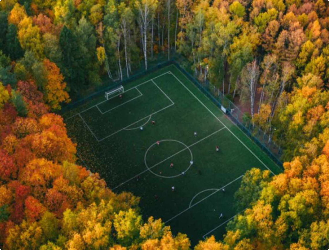 football pitch in the middle of forest or park